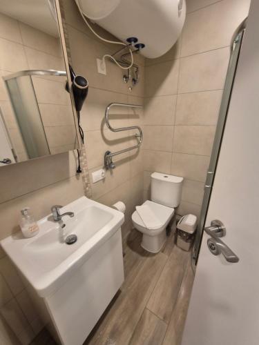 a bathroom with a sink and a toilet at Sunrise Apartments 9 in Juodkrantė