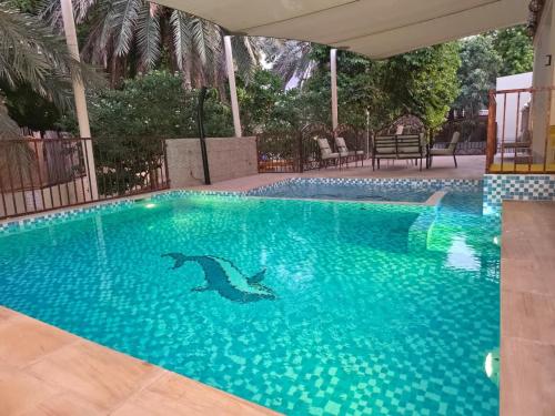 a swimming pool with a dolphin in the water at Hatta Orchard in Hatta