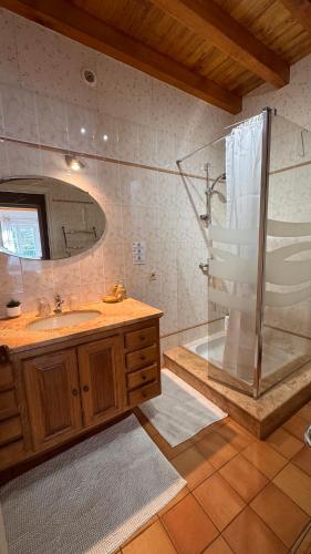 a bathroom with a sink and a shower at Chateau Du Payre in Cardan