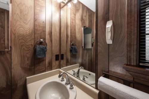 a bathroom with a sink and a mirror at Shadow Mountain Lodge and Cabins in Ruidoso