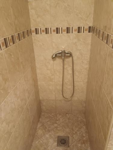 a shower with a shower head in a bathroom at Pet Friendly Apartment Ground Floor in Petrovac na Moru