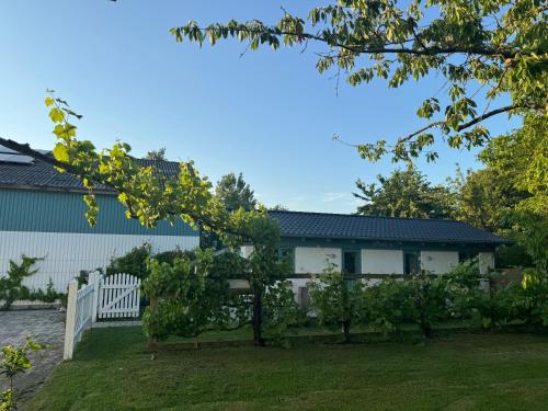 a house with a white fence and a yard at Tiny Guesthouse in Nakskov
