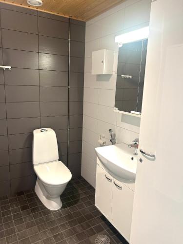 a bathroom with a toilet and a sink at Syke Apartment Jyväskylä in Jyväskylä