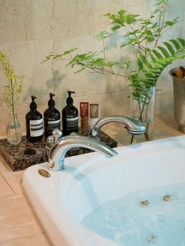 a bathroom sink with two bottles of soap at Hotel La Neige in Hakuba