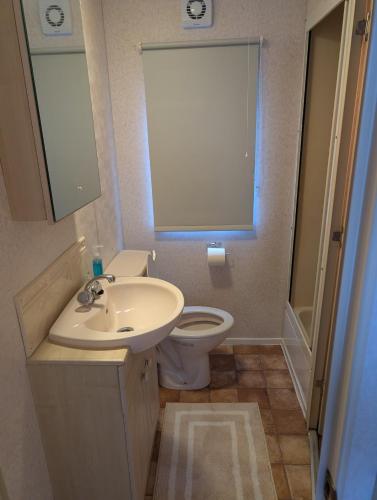 a bathroom with a sink and a toilet at Caravan 68 The Vale in Fishguard