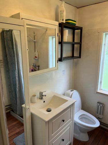 a bathroom with a sink and a toilet at NorrskensRo in Kiruna