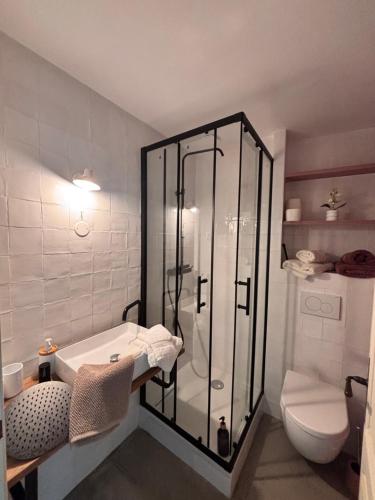 a bathroom with a shower and a sink and a toilet at Entre Ciels et Lettres in Grignan