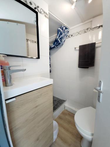 a bathroom with a toilet and a sink and a mirror at Le Nid, petit studio cosy et central in Besançon