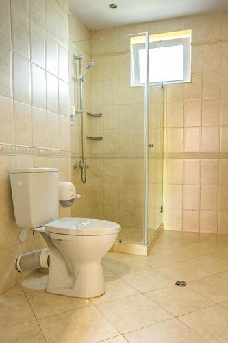 a bathroom with a toilet and a shower at Arapya Resort in Arapya