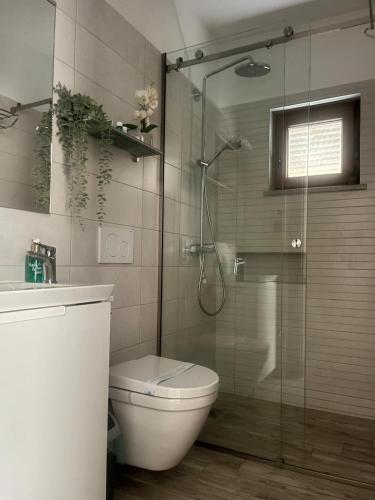 a bathroom with a toilet and a glass shower at Room Lina in Lovran