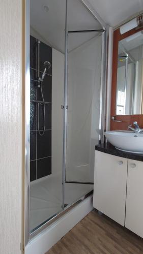 a bathroom with a shower and a sink at Sandpiper Aspen 9 in Peterhead