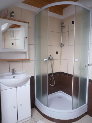 a bathroom with a shower and a sink at Apartmán Doubravice in Hrubá Skála