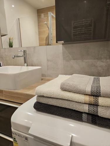 a bathroom with a sink and a towel on a counter at Apartament Azul in Cieszyn