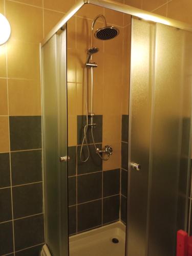 a shower with a glass door in a bathroom at Boskovica Brvnare in Žabljak