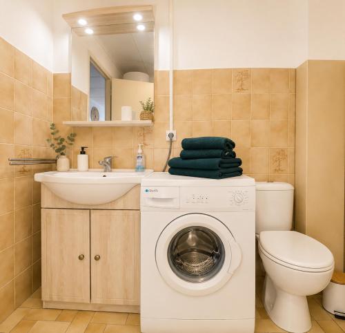 a bathroom with a washing machine and a sink at Studio spacieux centre-ville avec ascenseur - Le Bohème in Digne-les-Bains