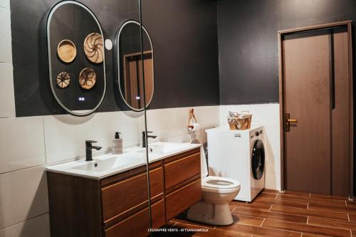 ein Badezimmer mit Waschbecken, Toilette und Waschmaschine in der Unterkunft L'échappée verte Appart entier sans coupure d'eau in Mtsamgamouji