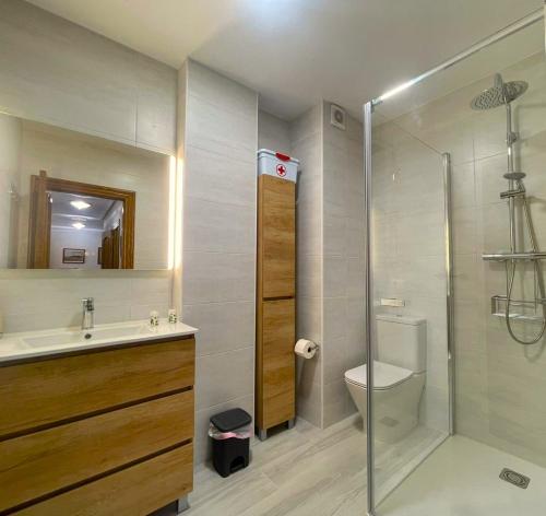 a bathroom with a shower and a sink and a toilet at El Pescador in Ribadesella