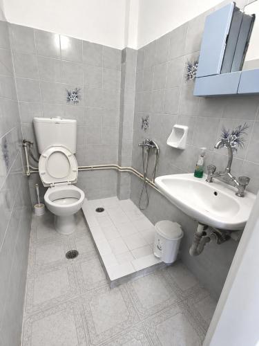 a bathroom with a toilet and a sink at Galatas home in Galatas