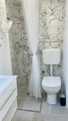 a bathroom with a toilet and a shower curtain at In centro dalla Stefy in Udine