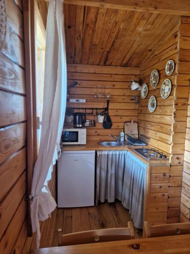 a kitchen with a stove and a sink in a cabin at CICHOsza in Lubkowo