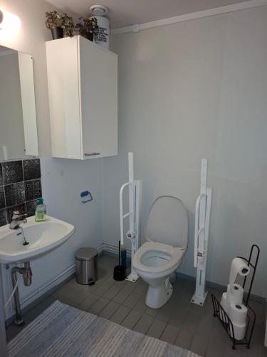 a bathroom with a toilet and a sink at Schools Out OY in Loviisa