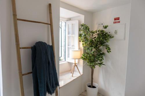 Beautiful 1 Bedroom Apartment in Lisbon