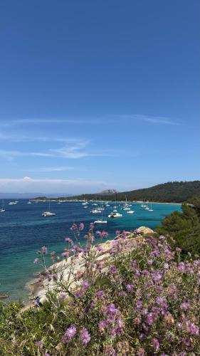Le Clair d Eau