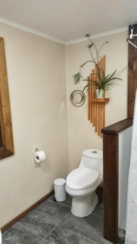 a bathroom with a toilet and a plant on the wall at Casa Arrayan in Coñaripe