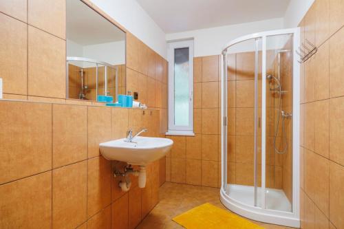 a bathroom with a sink and a shower at Pastvinka in Pastviny