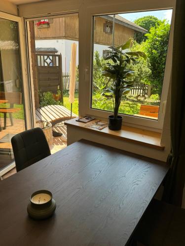 a table with a potted plant in a window at Moderne große Wohnung mit Garten in Hausham