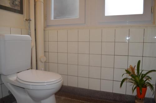 a bathroom with a toilet and a potted plant at Institute Of Cultural Affairs in Brussels