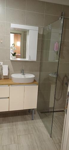 a bathroom with a sink and a shower at Apartman Bross in Ruma