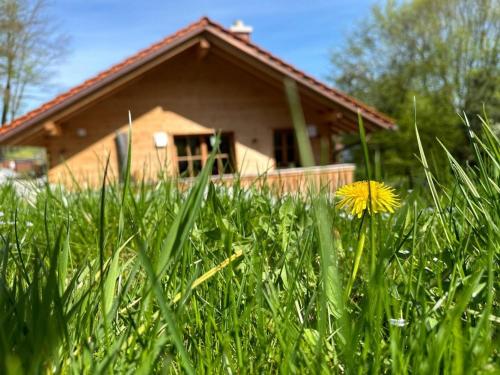 a dandelion in the grass in front of a house at Chalet22 beim Flößerhaus in Beuerberg in Eurasburg