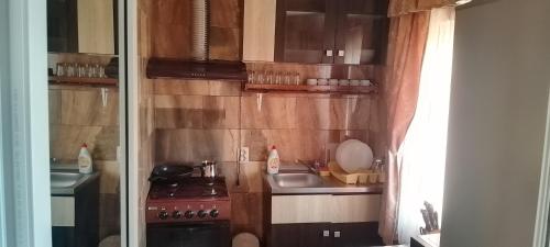a small kitchen with a stove and a sink at Casa de vacanta in Eforie Nord