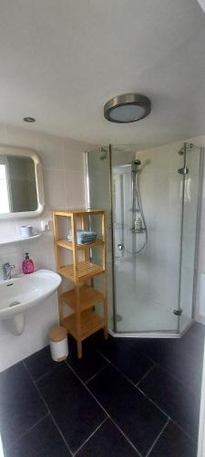 a bathroom with a shower and a sink and a toilet at De Strandloper in Petten