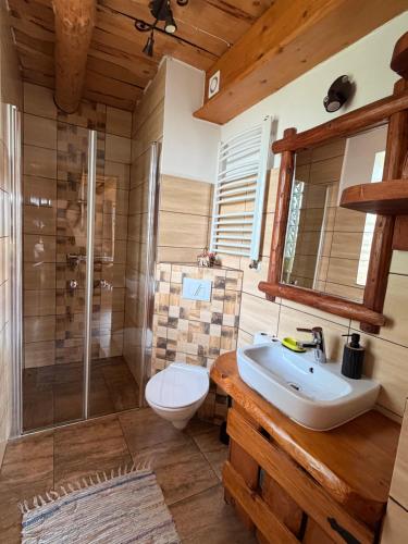 a bathroom with a toilet and a sink and a shower at Uroczysko in Brenna