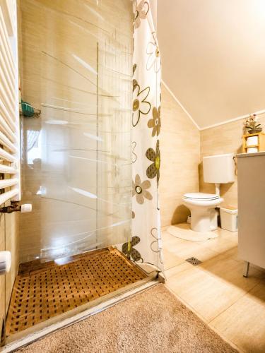 a bathroom with a shower and a toilet at Old Mark's House Sinaia in Sinaia