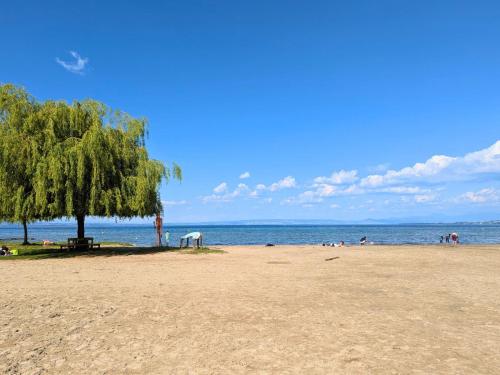 a tree on a beach with people in the water at Camping Léman Plage in Excénevex