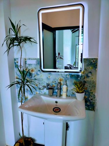a bathroom with a sink and a mirror at Blooming Hill Cabin Ella in Ella