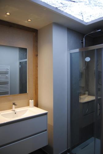 a bathroom with a sink and a shower at Mont Joly 2 in Le Baplieu