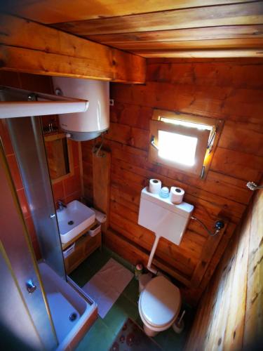 an overhead view of a bathroom with a toilet and sink at Holiday Home Geppetto in Gornji Velemerić