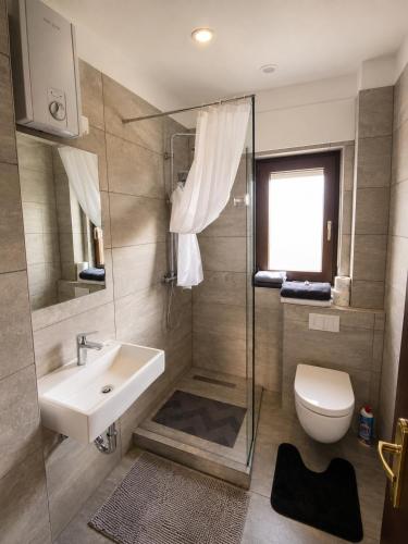 a bathroom with a sink and a toilet and a shower at Ferienwohnung Maison Maurus nahe Idar-Oberstein in Mörschied