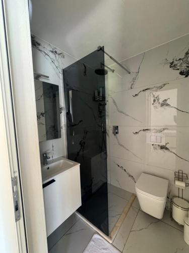 a bathroom with a shower and a toilet and a sink at Guesthouse Bjeshket E Arta in Lëpushë