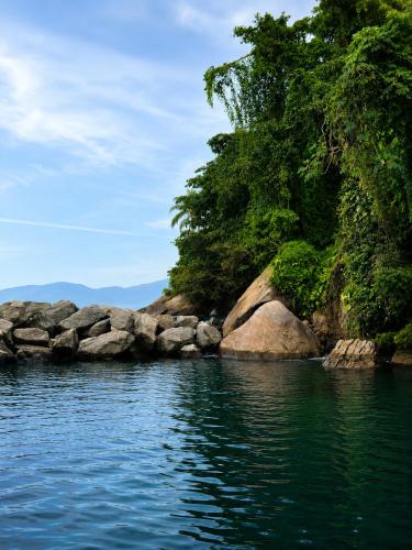 a river with rocks and trees on the shore at Porto Real Resort Suítes in Mangaratiba
