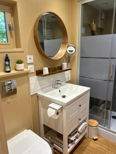 a bathroom with a sink and a shower with a mirror at Rêves & Rivière in Rivière