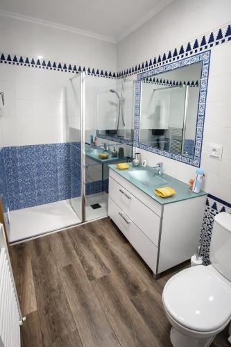 a bathroom with a shower and a sink and a toilet at Apartamento BAÑOS ÁRABES DEL CENIZAL antes Plaza de las Fuentes in Toledo