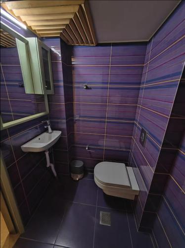 DML Apartments