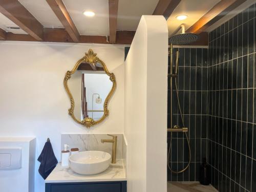 a bathroom with a sink and a mirror at Le Cantilien Apartment - Chantilly in Chantilly