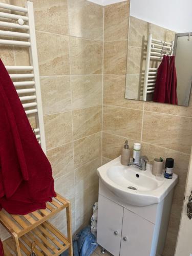 a bathroom with a sink and a mirror at Bookworm Ultracentral Cozy, ultracentral apartment for people who appreciate comfort, details and books in Târgu-Mureş