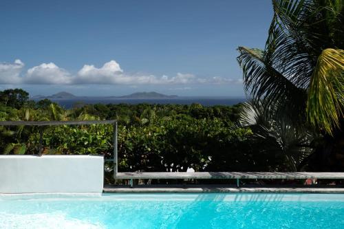 a swimming pool with a view of the ocean at Villa Bananes Rouges in Boyer